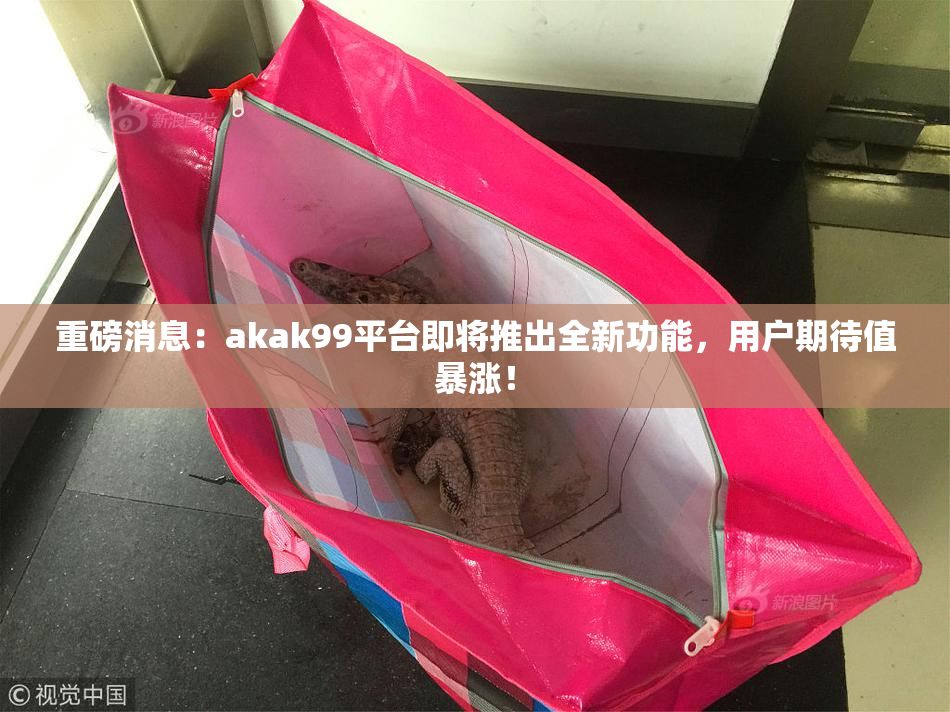 重磅消息：akak99平台即将推出全新功能，用户期待值暴涨！