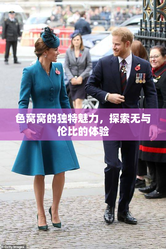 色窝窝的独特魅力，探索无与伦比的体验