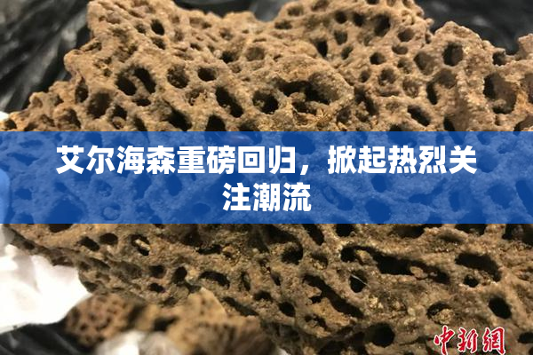 艾尔海森重磅回归，掀起热烈关注潮流