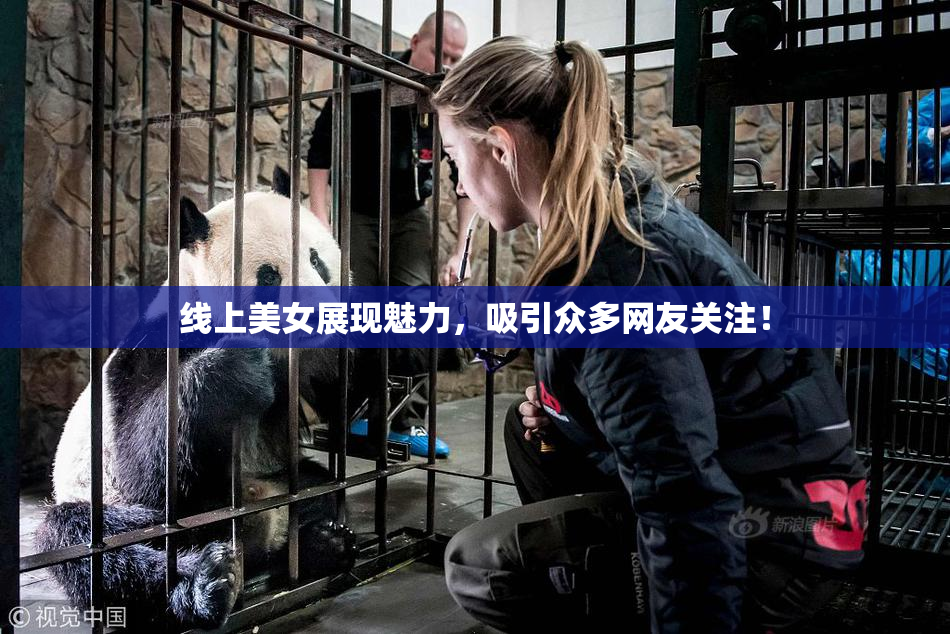 线上美女展现魅力，吸引众多网友关注！