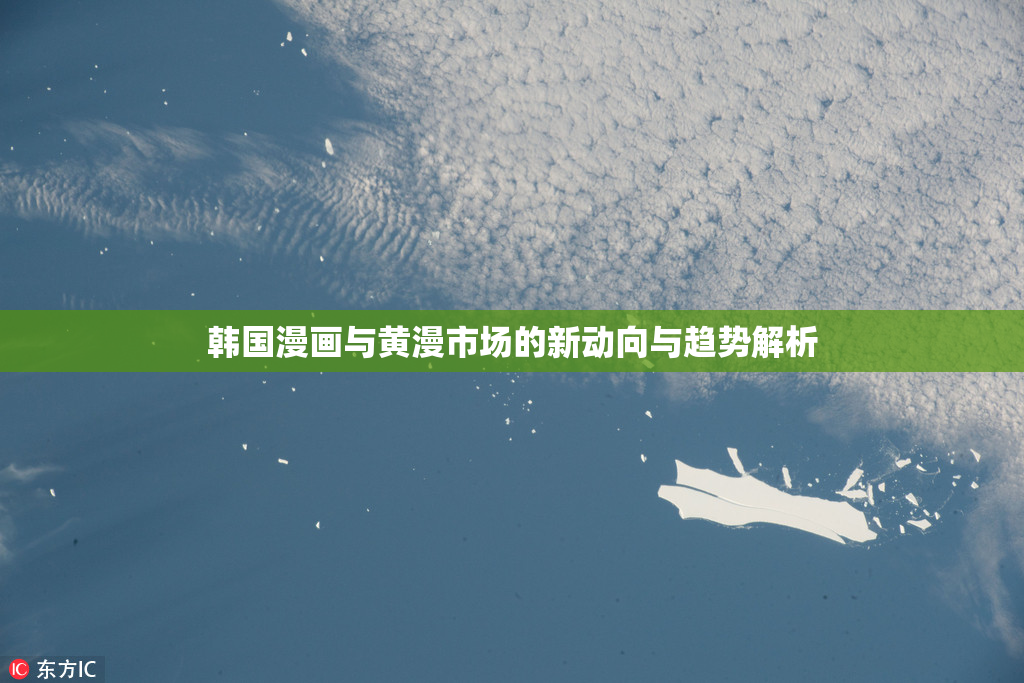 韩国漫画与黄漫市场的新动向与趋势解析