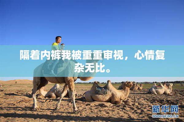 隔着内裤我被重重审视，心情复杂无比。