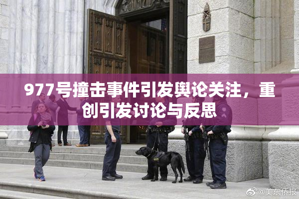 977号撞击事件引发舆论关注，重创引发讨论与反思