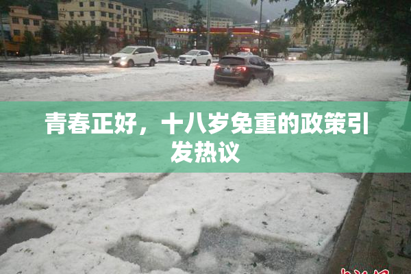 青春正好，十八岁免重的政策引发热议