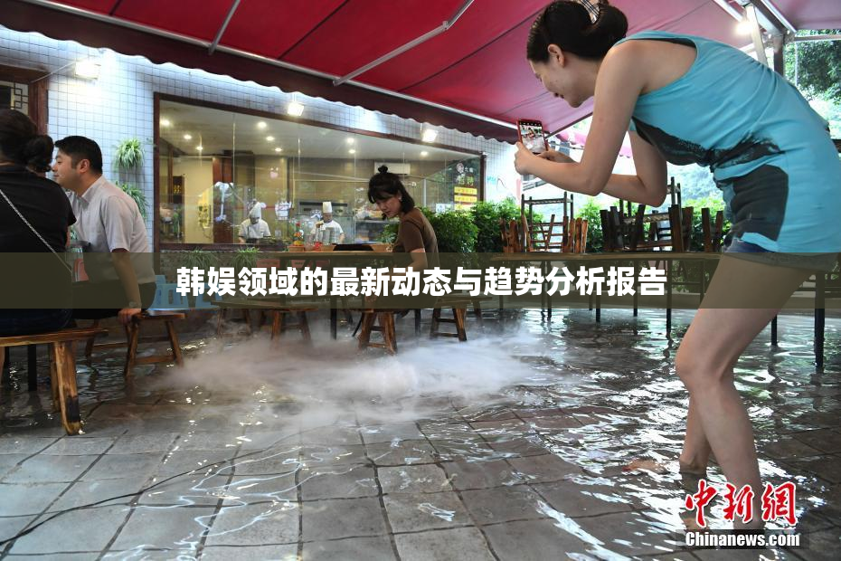韩娱领域的最新动态与趋势分析报告