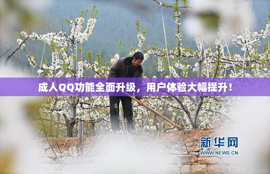 成人QQ功能全面升级，用户体验大幅提升！