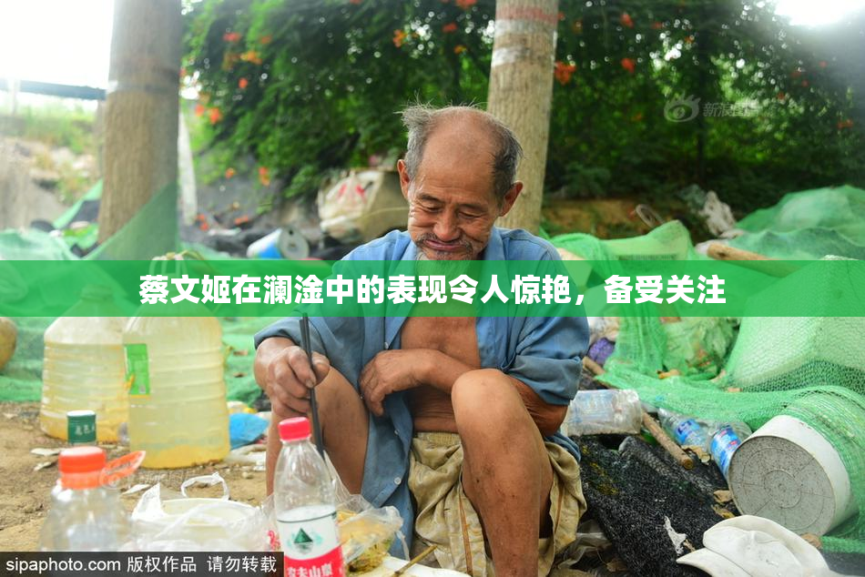 蔡文姬在澜淦中的表现令人惊艳，备受关注