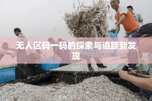 无人区码一码的探索与追踪新发现