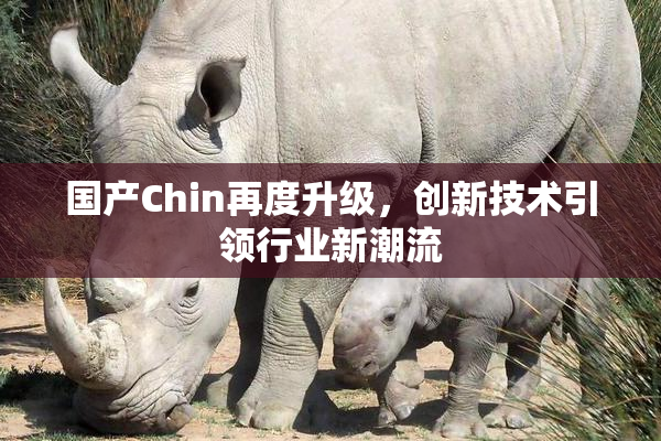 国产Chin再度升级，创新技术引领行业新潮流