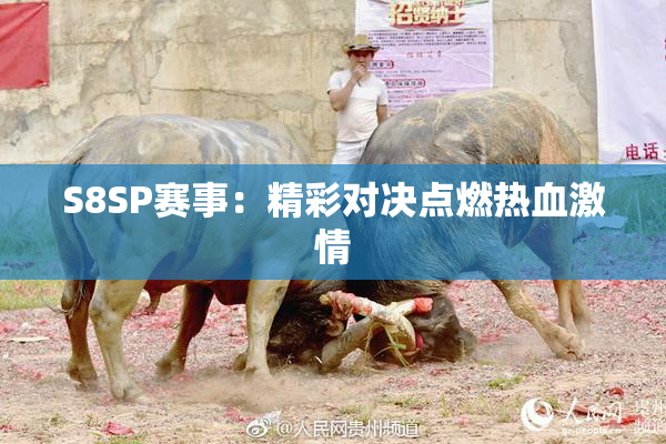 S8SP赛事：精彩对决点燃热血激情