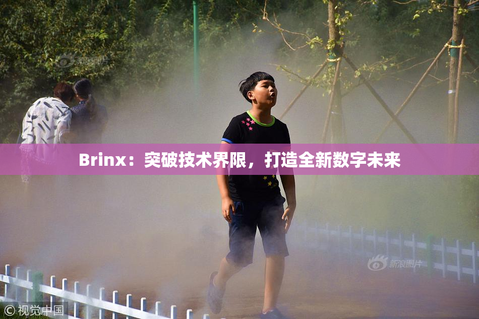 Brinx：突破技术界限，打造全新数字未来