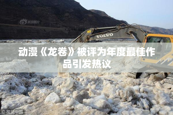 动漫《龙卷》被评为年度最佳作品引发热议