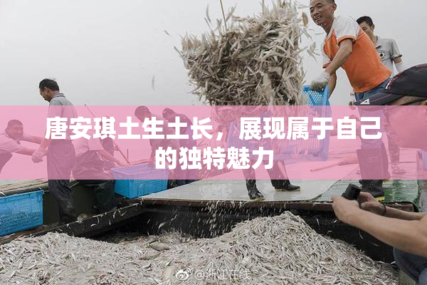 唐安琪土生土长，展现属于自己的独特魅力