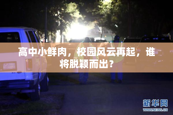高中小鲜肉，校园风云再起，谁将脱颖而出？
