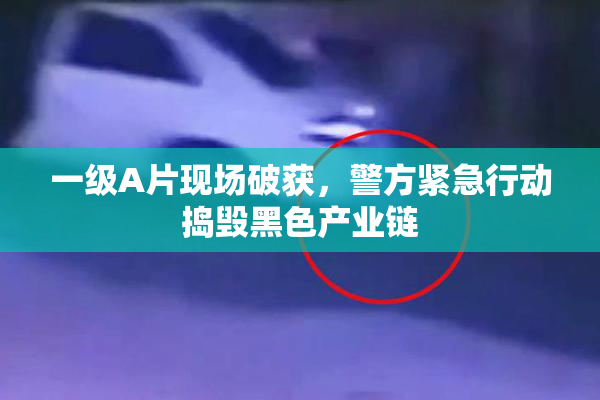 一级A片现场破获，警方紧急行动捣毁黑色产业链