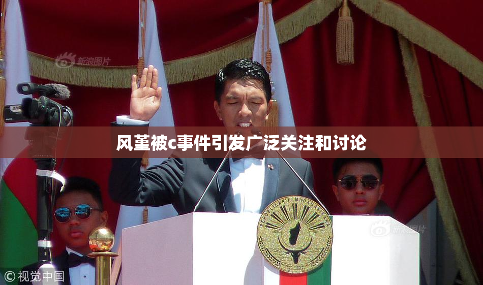 风堇被c事件引发广泛关注和讨论