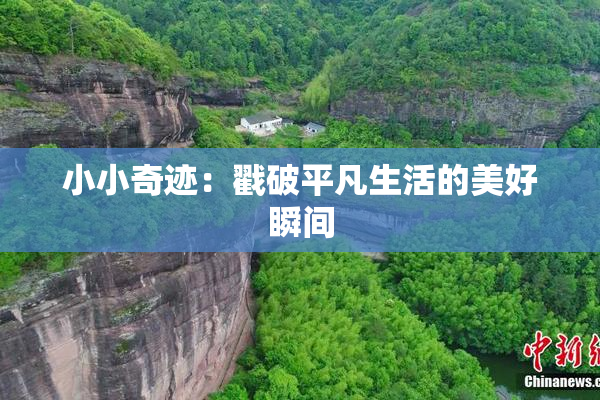 小小奇迹：戳破平凡生活的美好瞬间