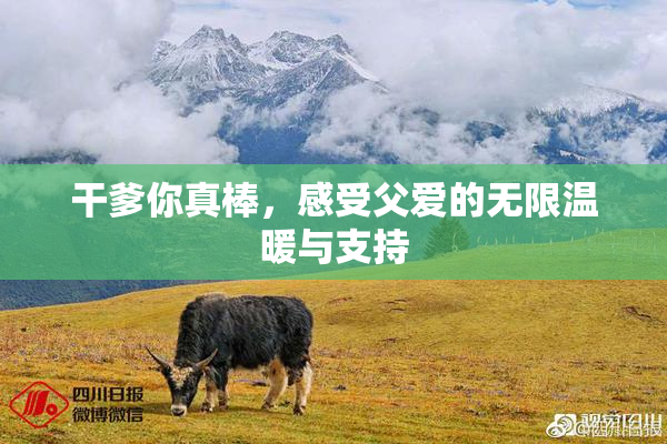 干爹你真棒，感受父爱的无限温暖与支持