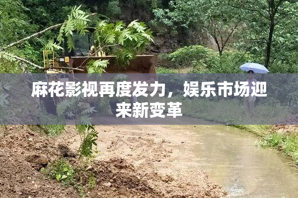 麻花影视再度发力，娱乐市场迎来新变革