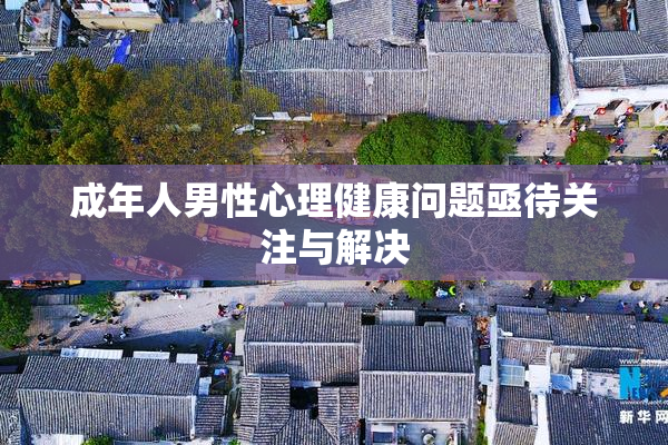 成年人男性心理健康问题亟待关注与解决