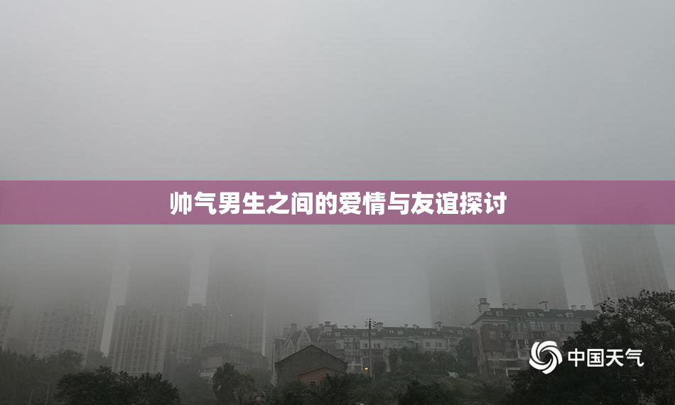 帅气男生之间的爱情与友谊探讨