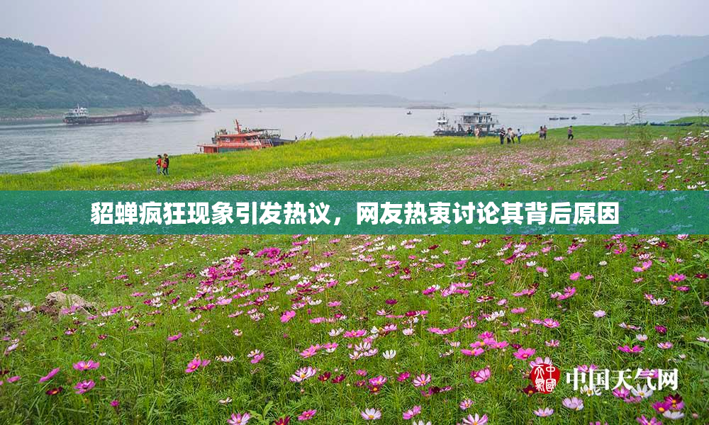 貂蝉疯狂现象引发热议，网友热衷讨论其背后原因