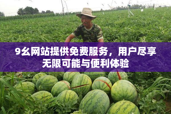 9幺网站提供免费服务，用户尽享无限可能与便利体验