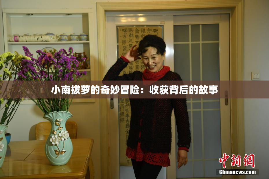 小南拔萝的奇妙冒险：收获背后的故事