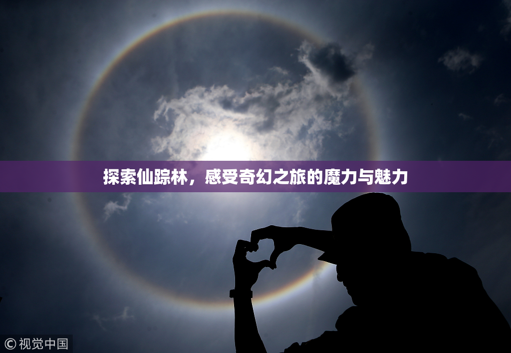 探索仙踪林，感受奇幻之旅的魔力与魅力