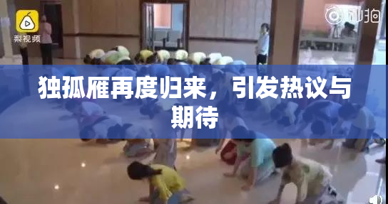 独孤雁再度归来，引发热议与期待