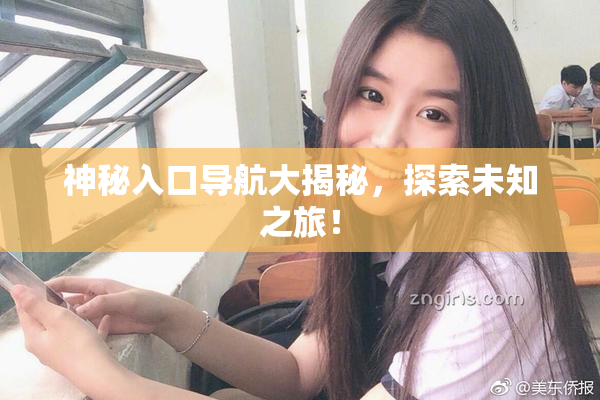 神秘入口导航大揭秘，探索未知之旅！