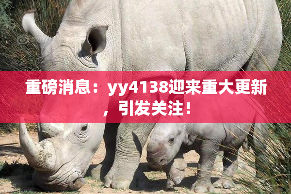 重磅消息：yy4138迎来重大更新，引发关注！