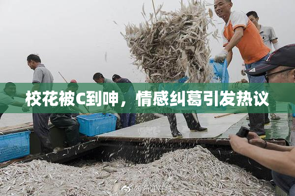 校花被C到呻，情感纠葛引发热议