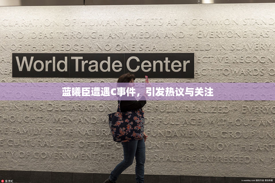 蓝曦臣遭遇C事件，引发热议与关注