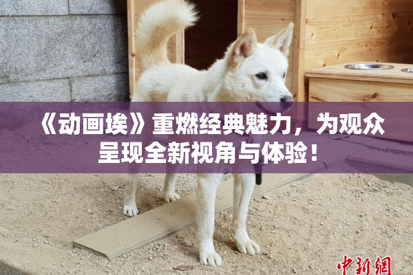 《动画埃》重燃经典魅力，为观众呈现全新视角与体验！