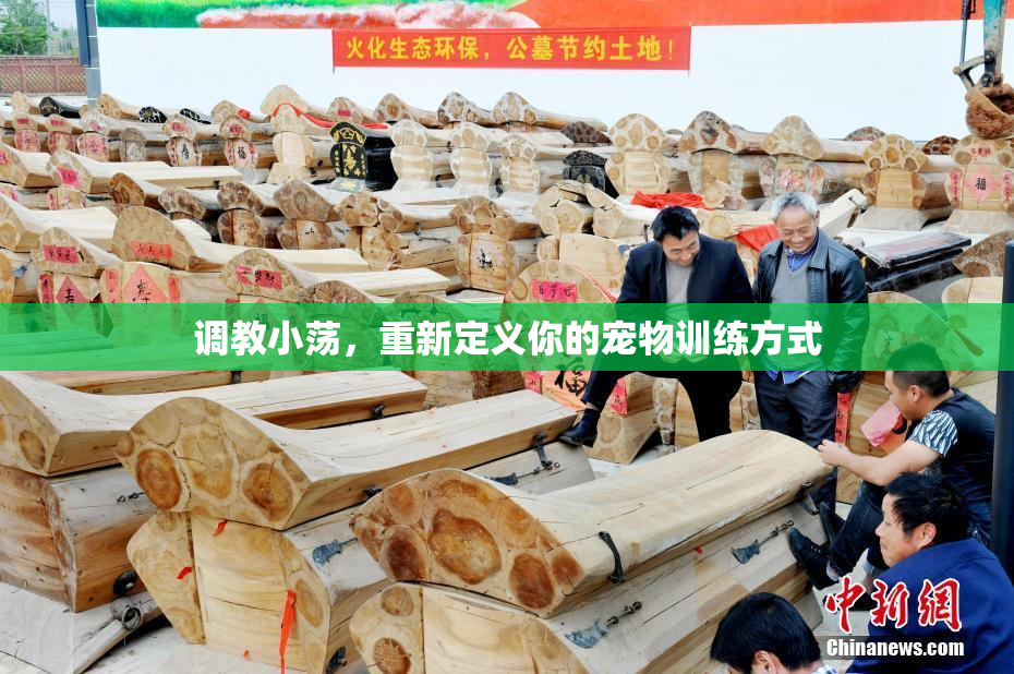 调教小荡，重新定义你的宠物训练方式