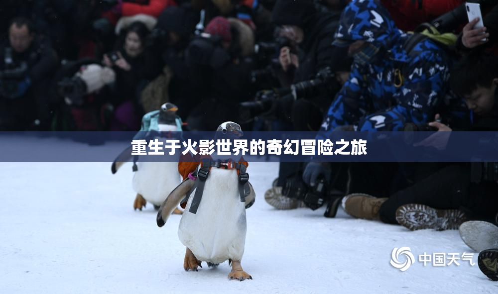 重生于火影世界的奇幻冒险之旅