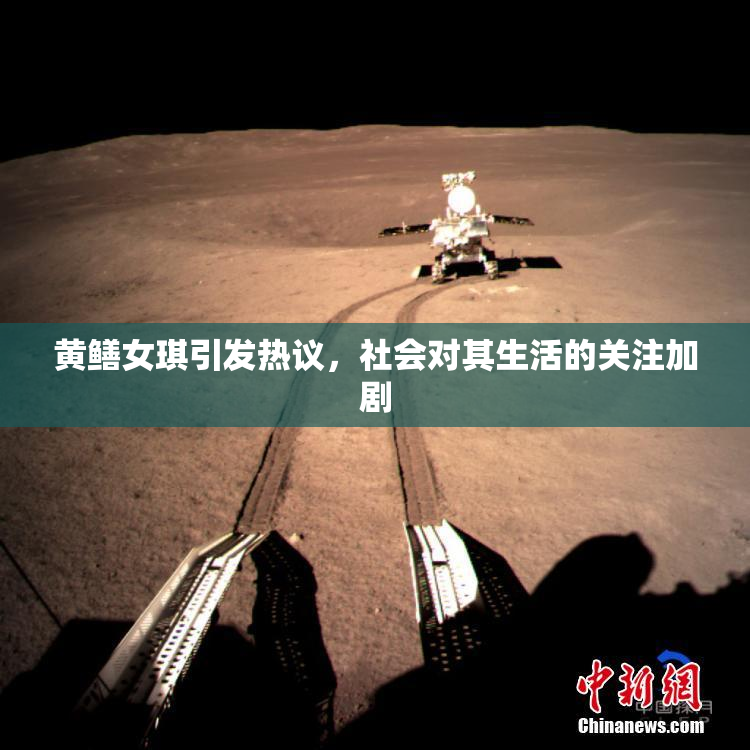 黄鳝女琪引发热议，社会对其生活的关注加剧