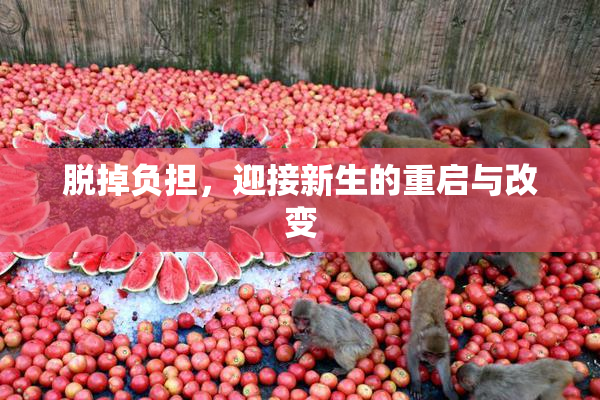 脱掉负担，迎接新生的重启与改变