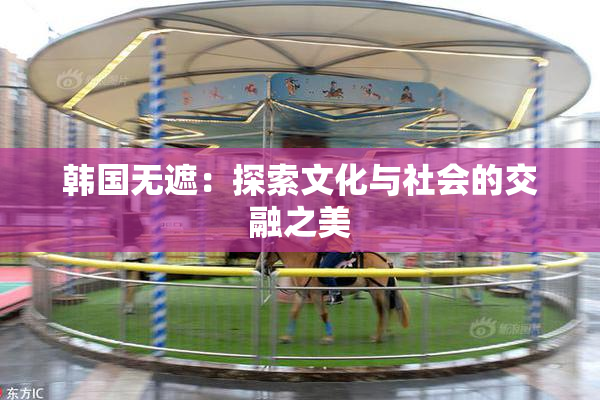 韩国无遮：探索文化与社会的交融之美