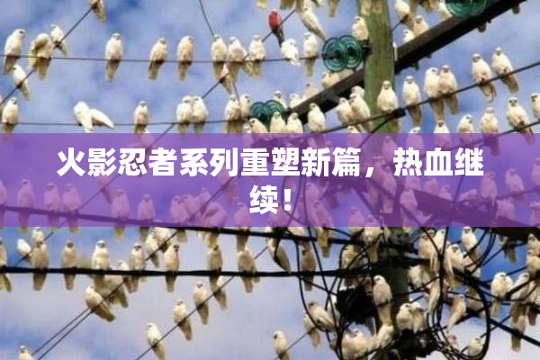 火影忍者系列重塑新篇，热血继续！