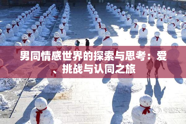 男同情感世界的探索与思考：爱、挑战与认同之旅