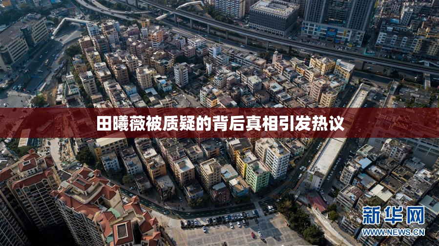 田曦薇被质疑的背后真相引发热议