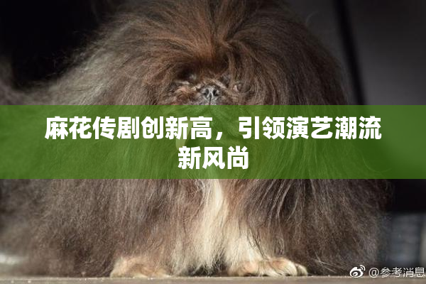 麻花传剧创新高，引领演艺潮流新风尚