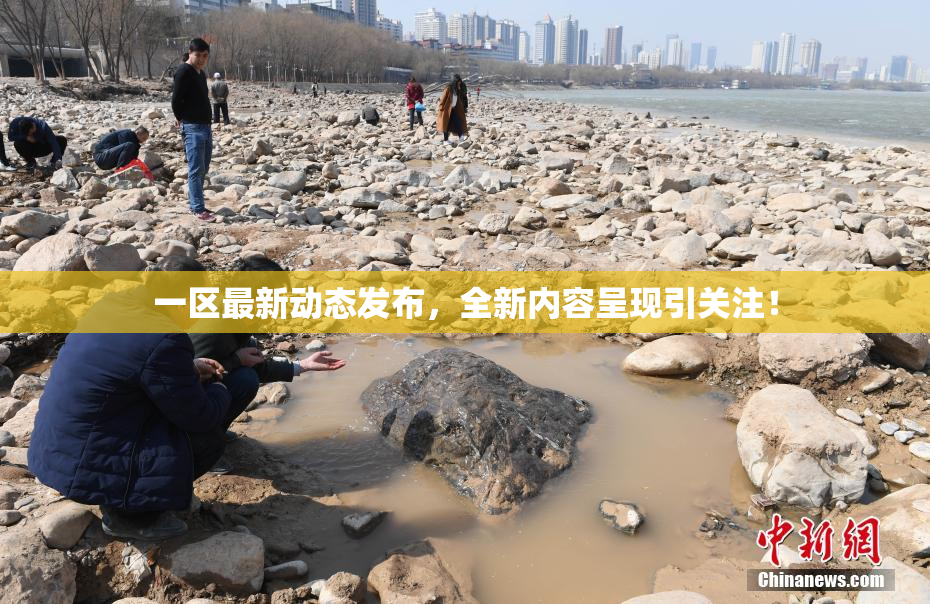 一区最新动态发布，全新内容呈现引关注！
