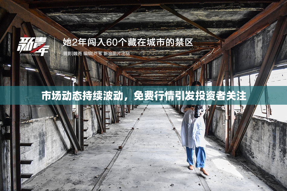 市场动态持续波动，免费行情引发投资者关注