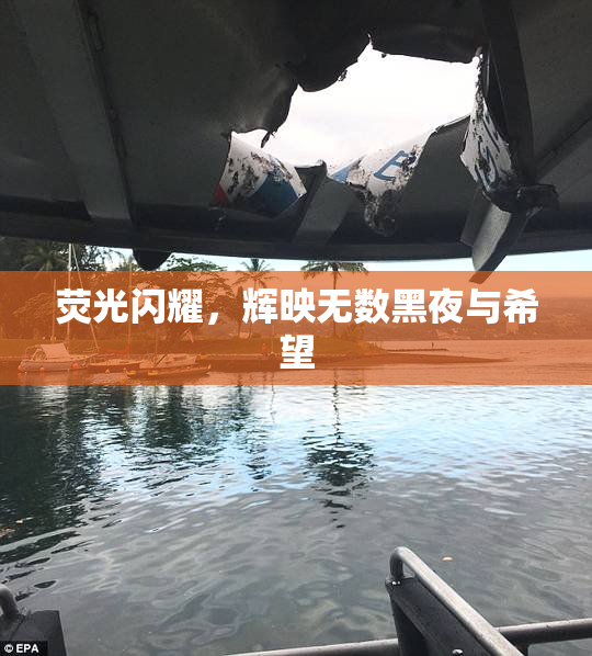 荧光闪耀，辉映无数黑夜与希望