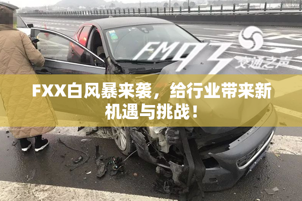 FXX白风暴来袭，给行业带来新机遇与挑战！