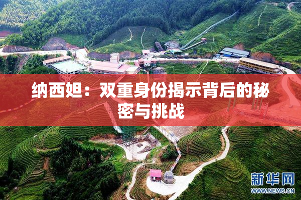 纳西妲：双重身份揭示背后的秘密与挑战