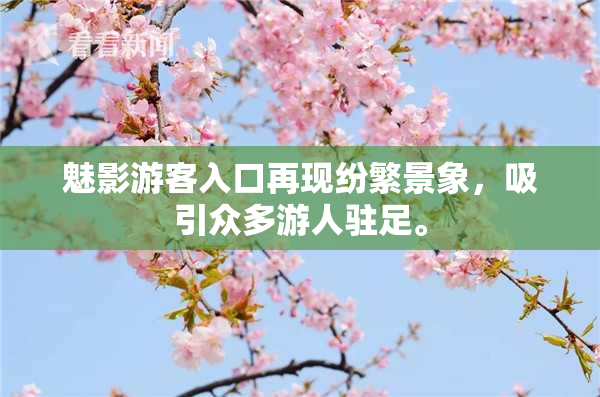 魅影游客入口再现纷繁景象，吸引众多游人驻足。